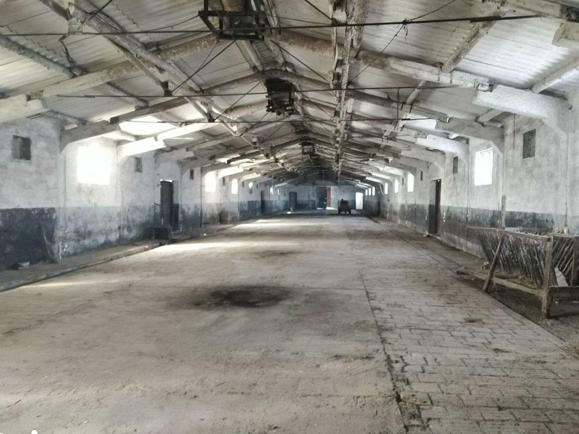 Hala (grajd) Corod, Galati