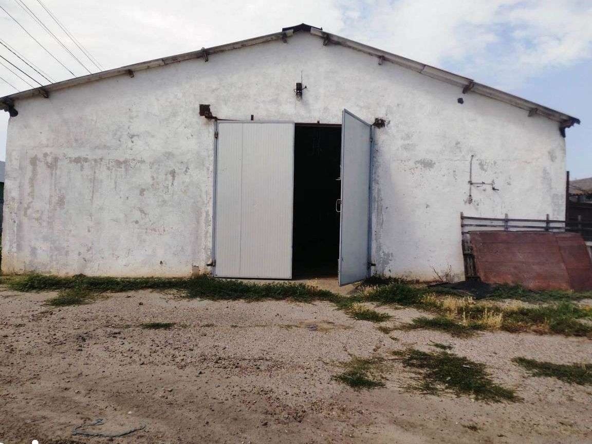 Hala (grajd) Corod, Galati