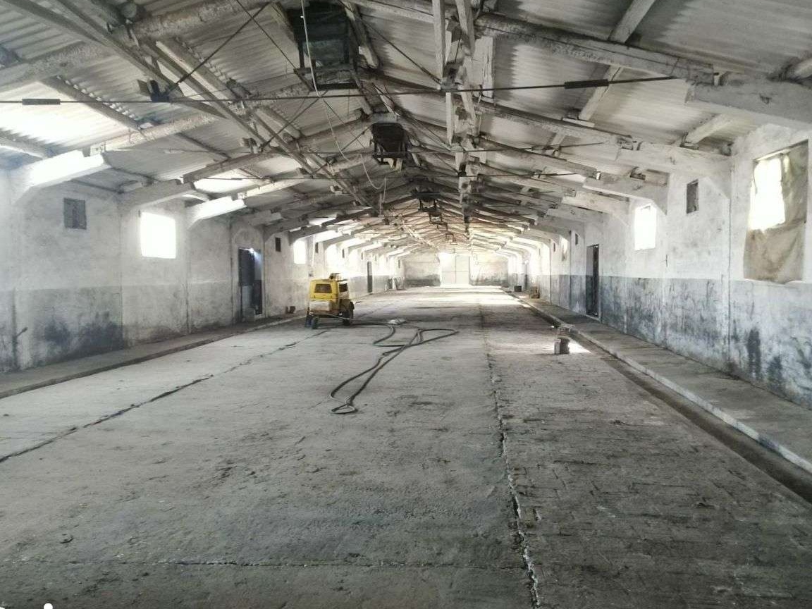 Hala (grajd) Corod, Galati