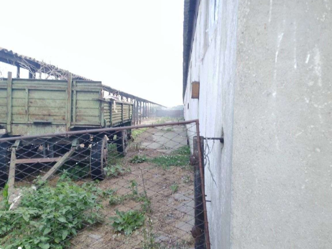 Hala (grajd) Corod, Galati