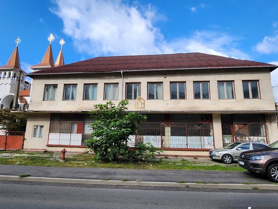 Hala in Ferneziu, de vanzare