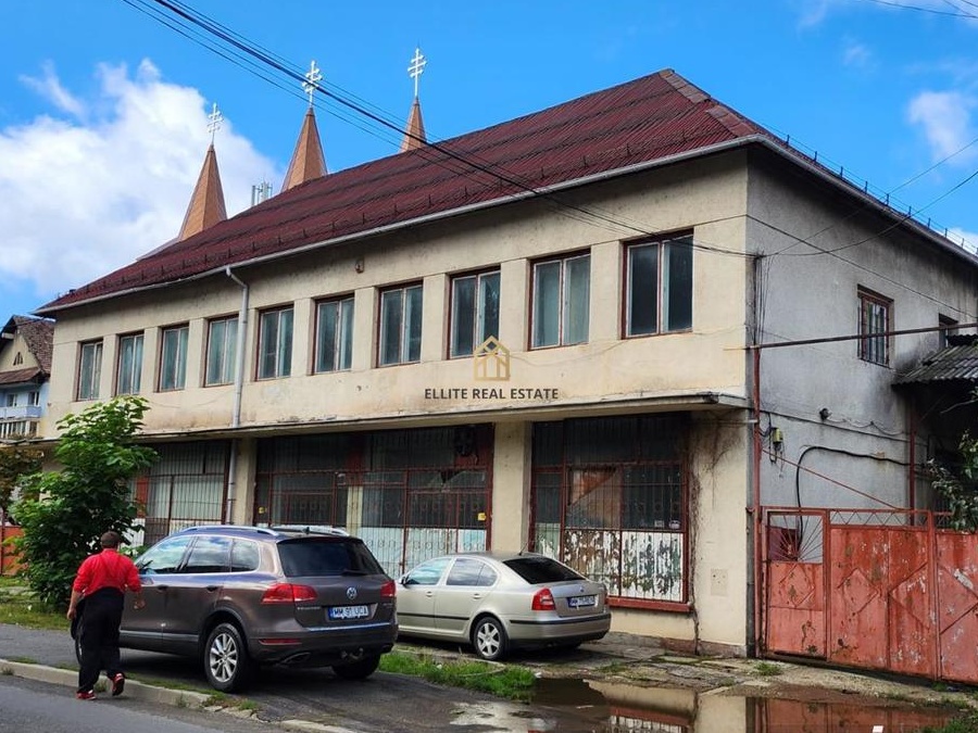 Hala in Ferneziu, de vanzare
