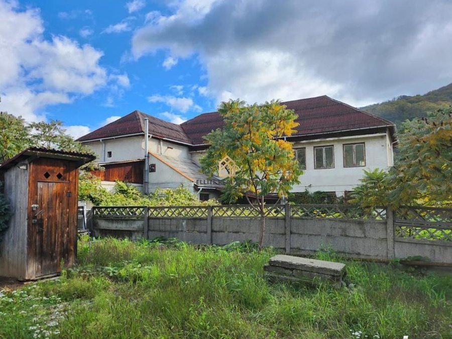 Hala in Ferneziu, de vanzare