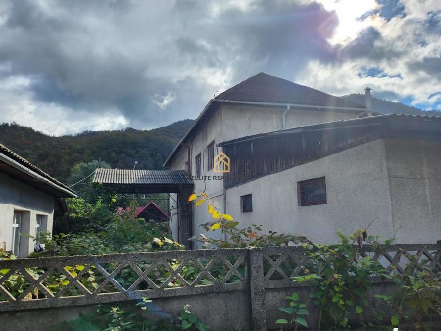 Hala in Ferneziu, de vanzare