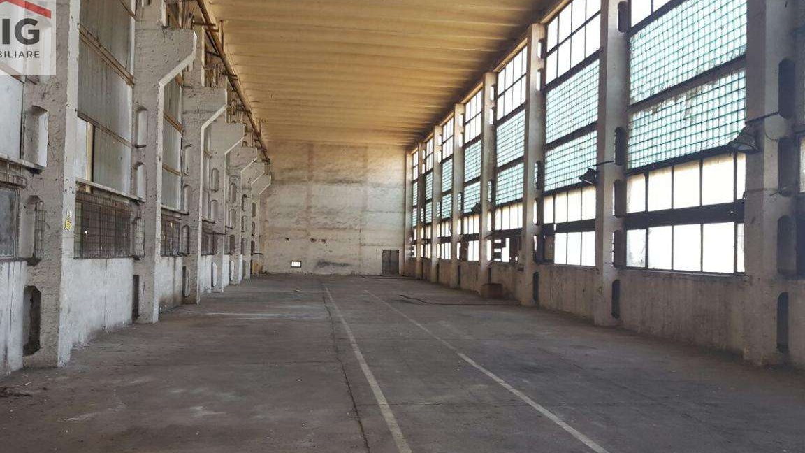 Hala in zona industriala Aurel Vlaicu