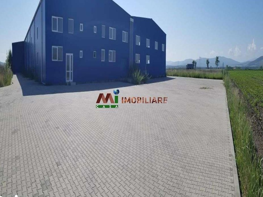 Hala Industriala 2000 mp