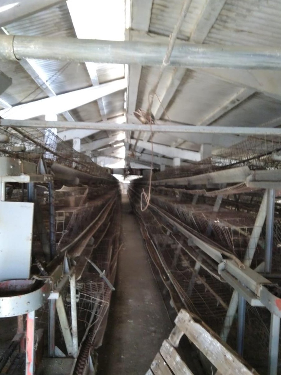 Hala Industriala (Grajd)