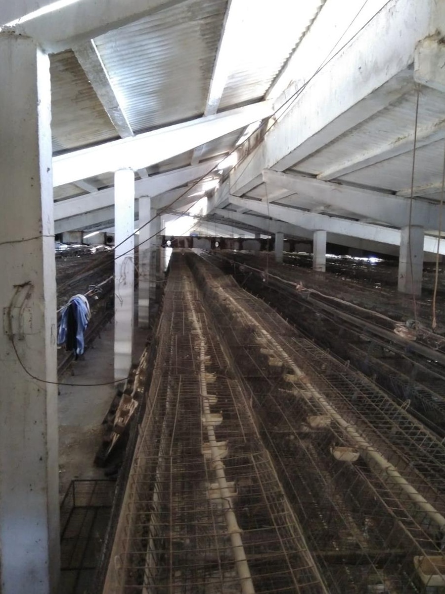 Hala Industriala (Grajd)