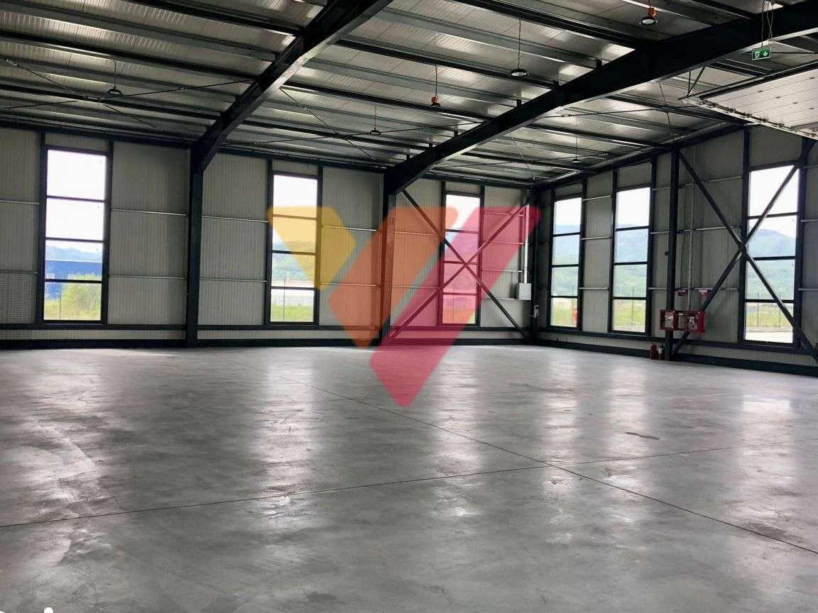 Hala industriala pretabila pentru logistica/depozitare - Talmaciu