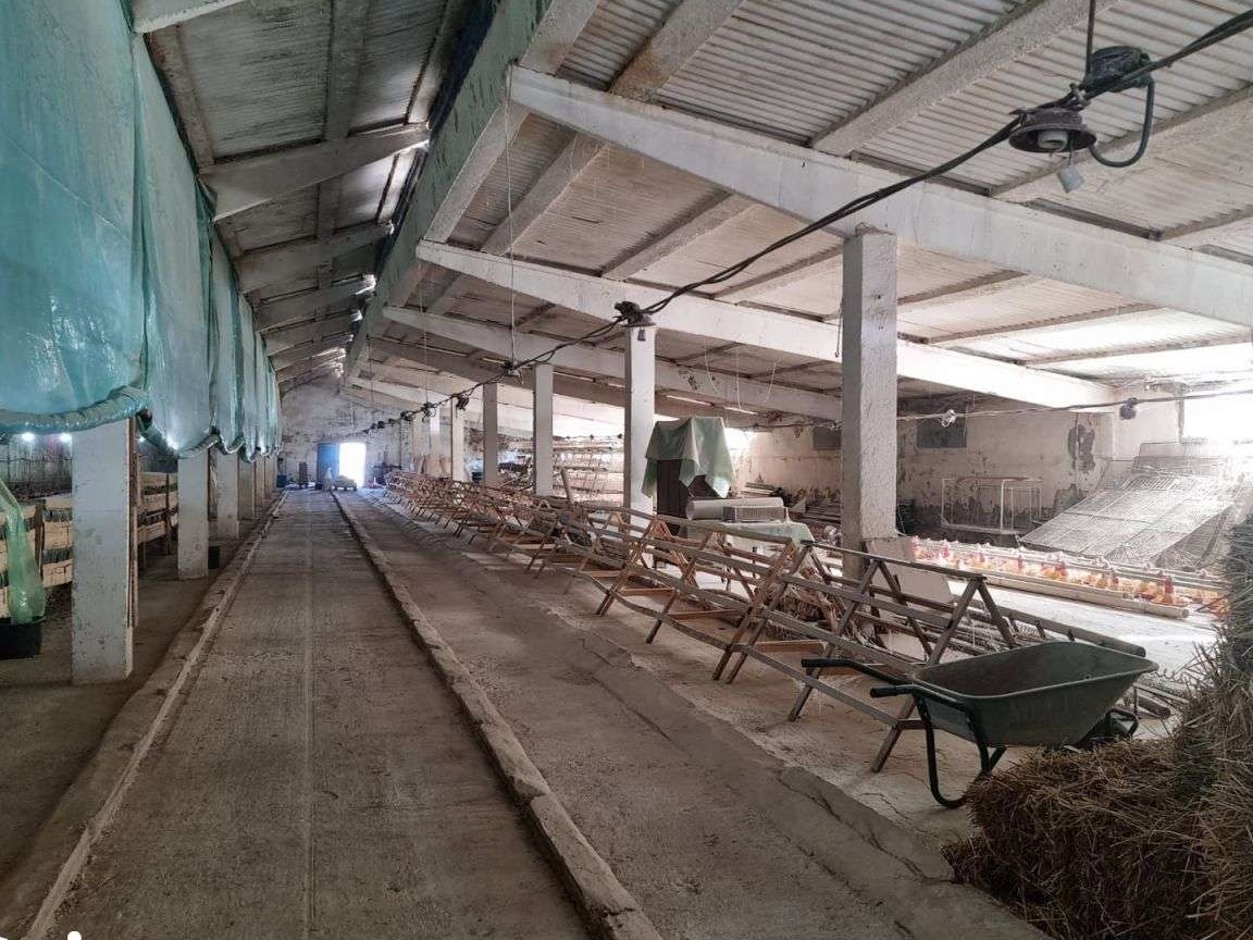 Hala si teren la vanzare in Beclean