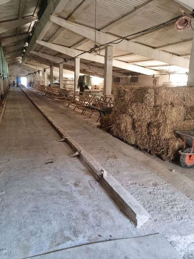 Hala si teren la vanzare in Beclean