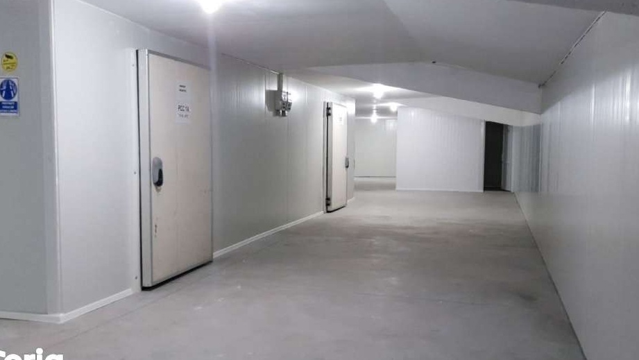 Hala,fabrica,spații depozit frigorific de vanzare/inchiriat staer DN26