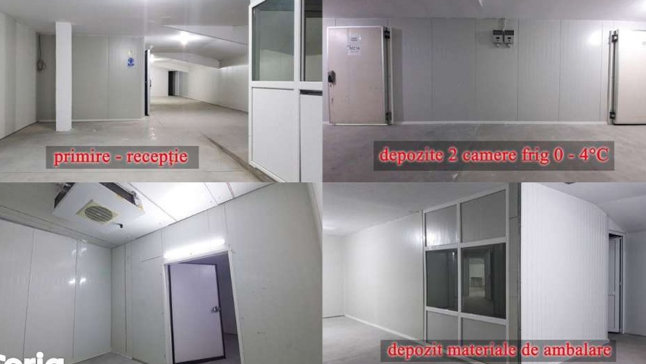 Hala,fabrica,spații depozit frigorific de vanzare/inchiriat staer DN26
