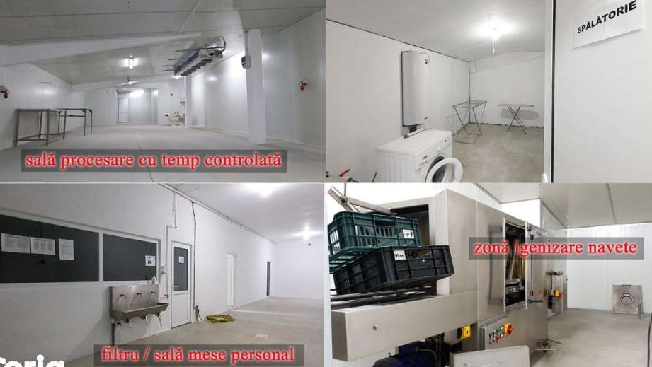 Hala,fabrica,spații depozit frigorific de vanzare/inchiriat staer DN26