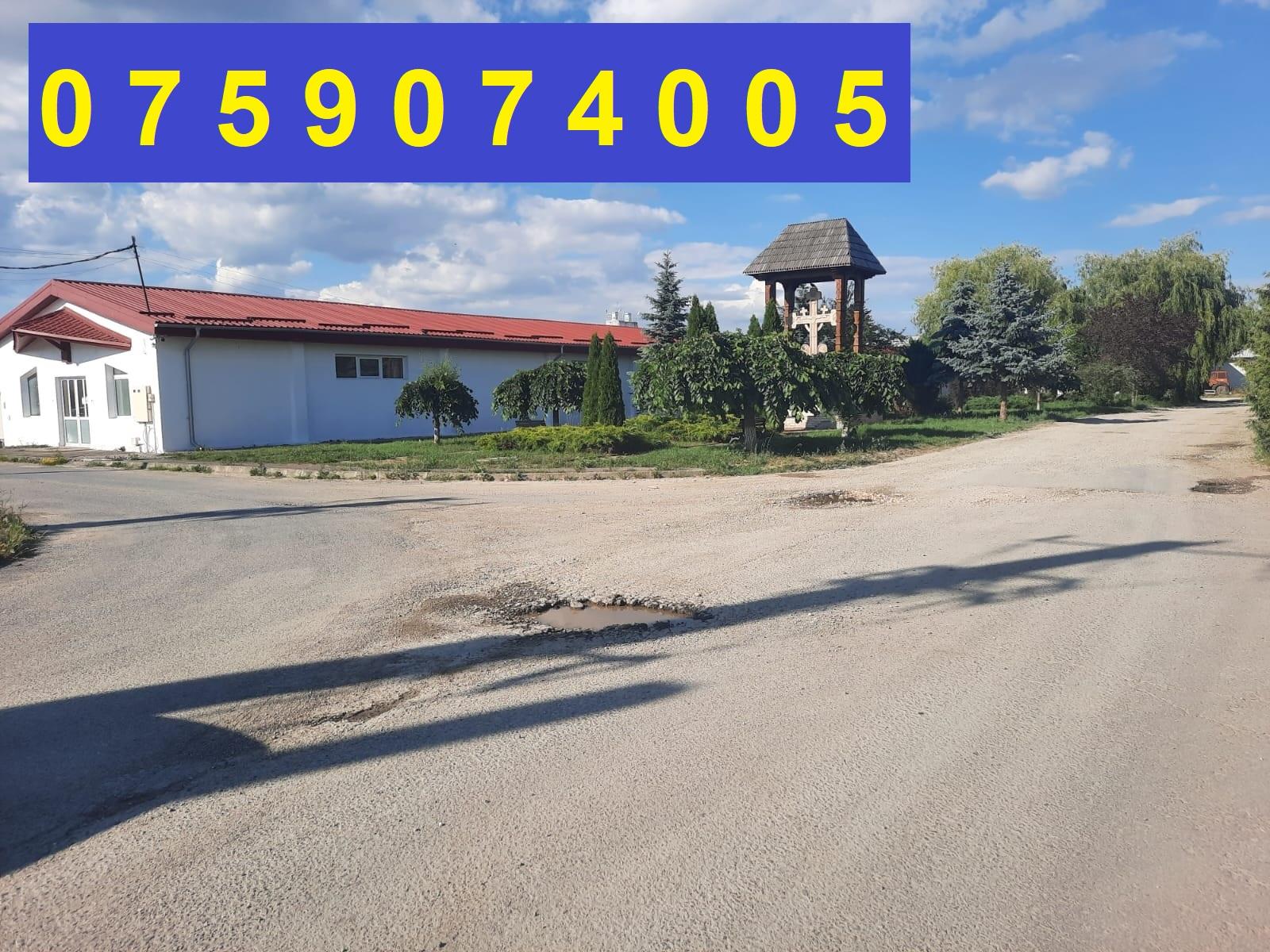 Hale de inchiriat Harman -jud Brasov