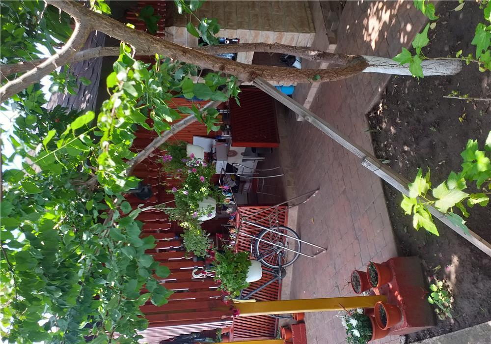 Hale de vanzare +casa