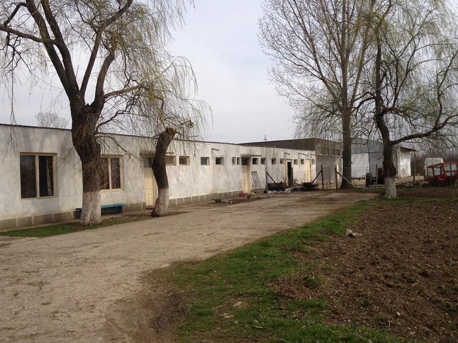 Hale depozitare (inclusiv cereale) sau zootehnie diferite suprafețe