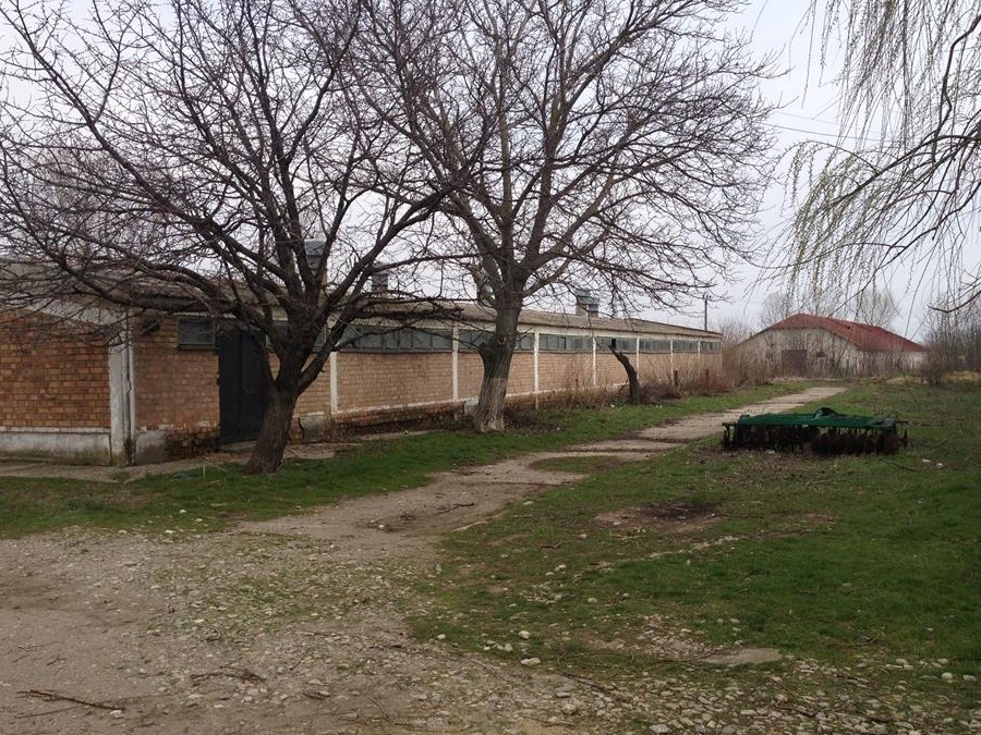 Hale depozitare (inclusiv cereale) sau zootehnie diferite suprafețe