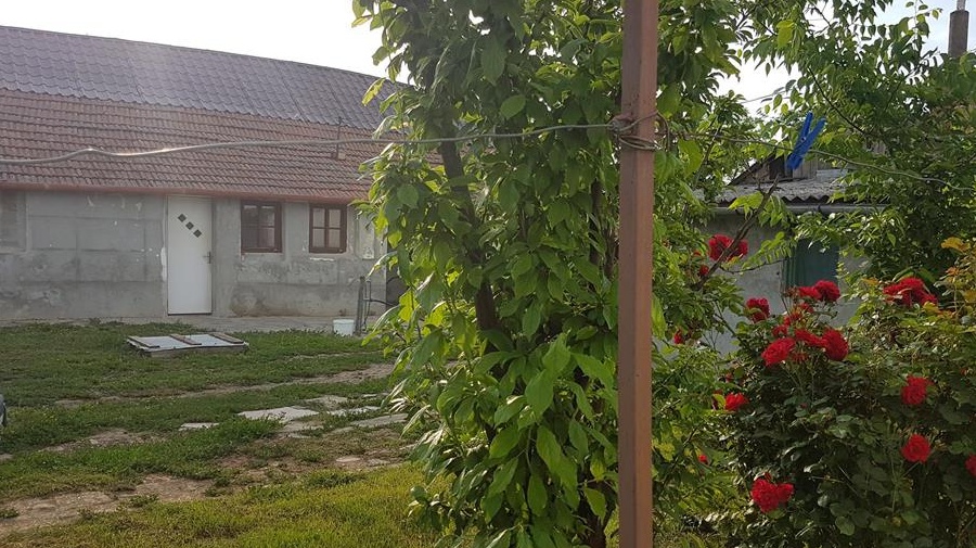 iau în chirie Ucraineni în orașul Mezokovacshaza din UNGARIA
