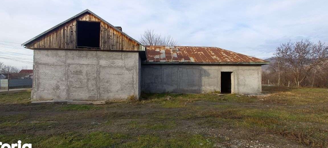 Imobil si teren in Greci , Muntii Macin