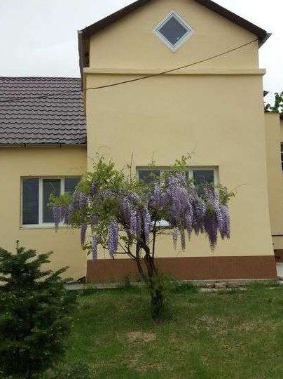 Inchiriem casa central cu curte mare