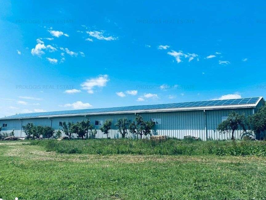 Închiriere hală industrială, zona CUG