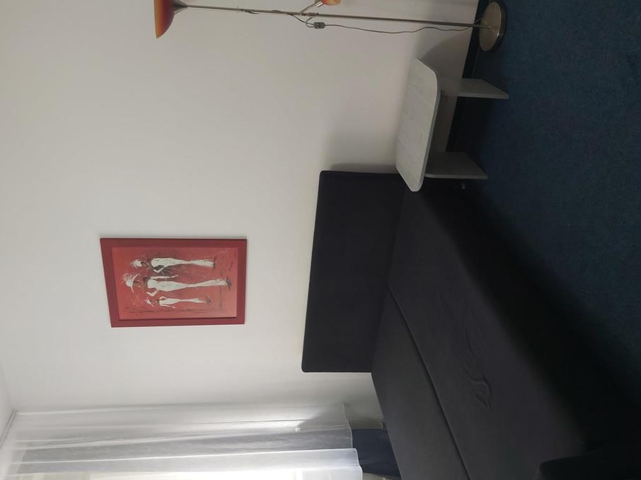 închiriez apartament cu o cameră Piața Unirii