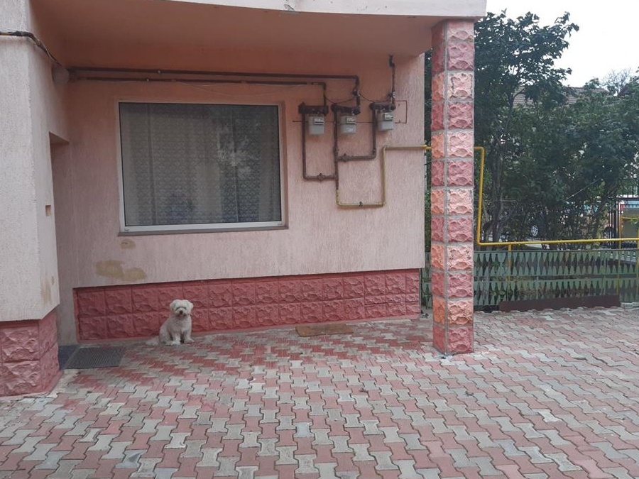 ÎNCHIRIEZ APARTAMENT LA CASA, 3 CAMERE , PARTER.