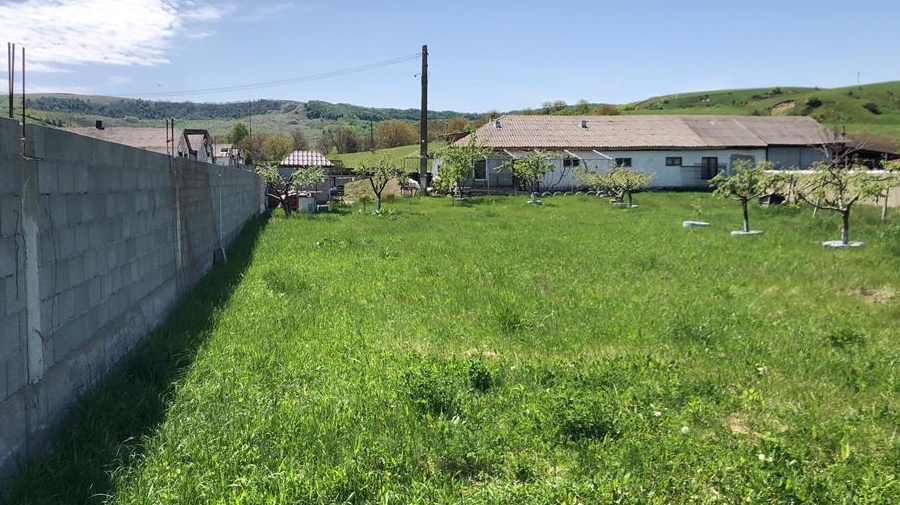 Inchiriez spațiu depozitare / productie