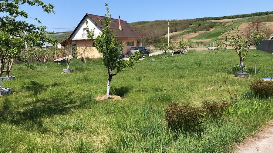 Inchiriez spațiu depozitare / productie