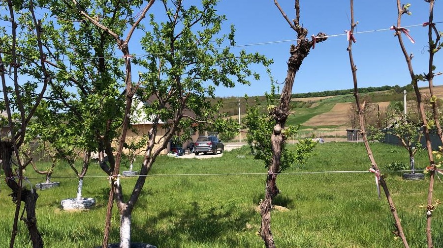 Inchiriez spațiu depozitare / productie