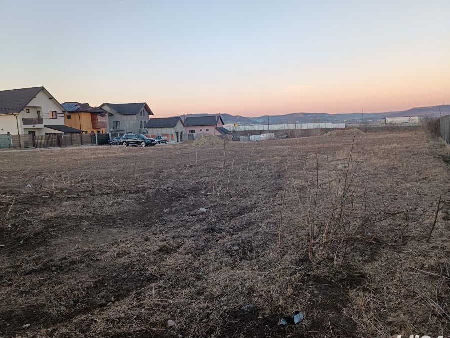 Închiriez teren 7500mp Prundu Mic utilități