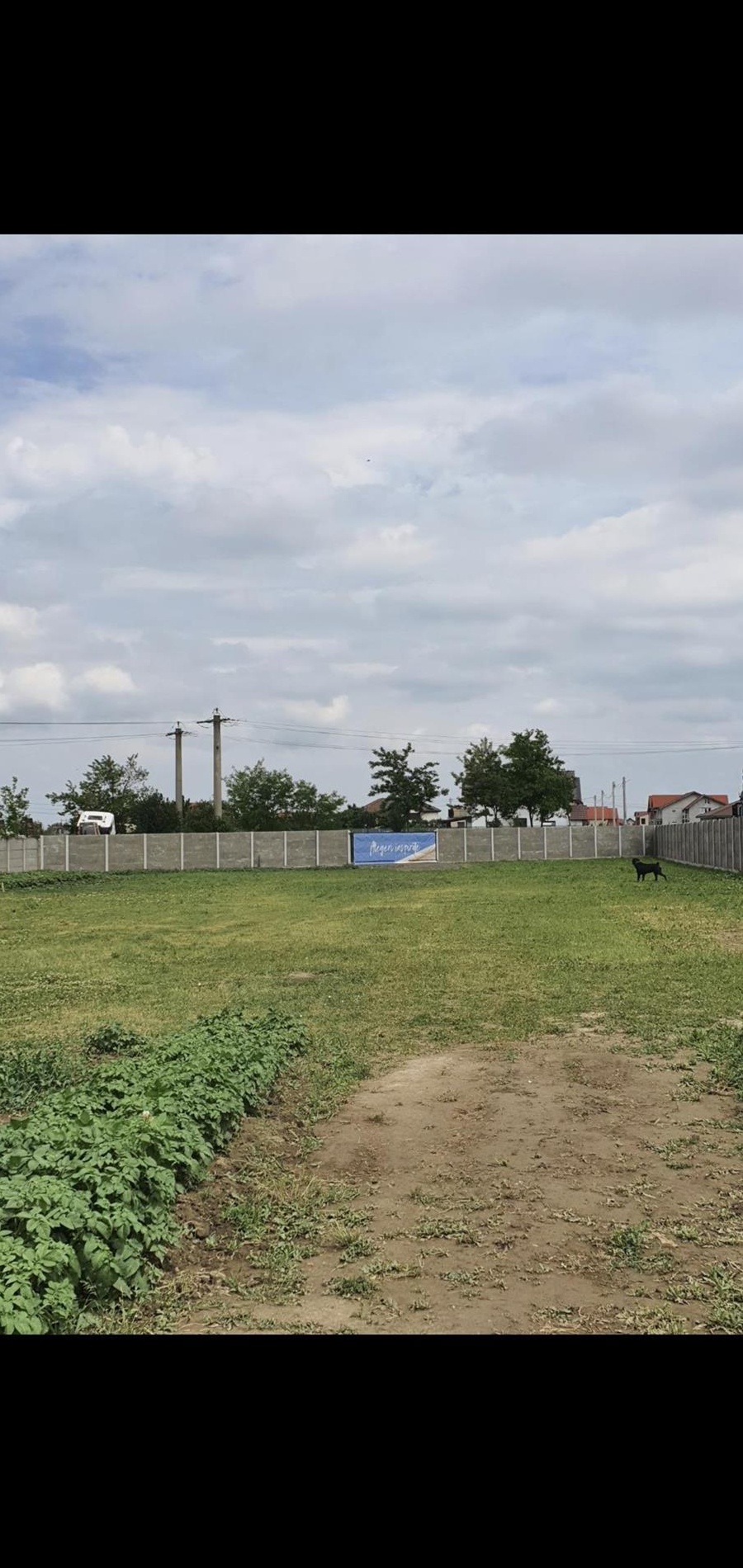 Inchiriez teren Mosnita Noua str Principala