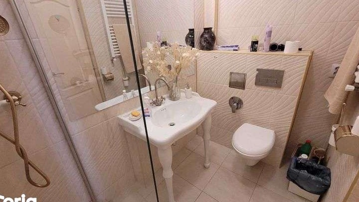 Închiriez  vilă 225 mp în zona Victoriei cu un MASIV VAD COMERCIAL