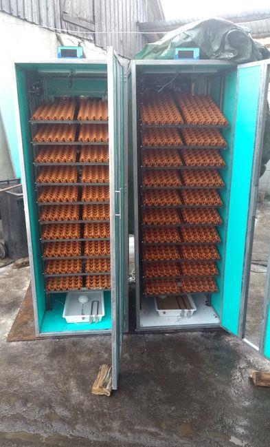 incubator 108 oua strut