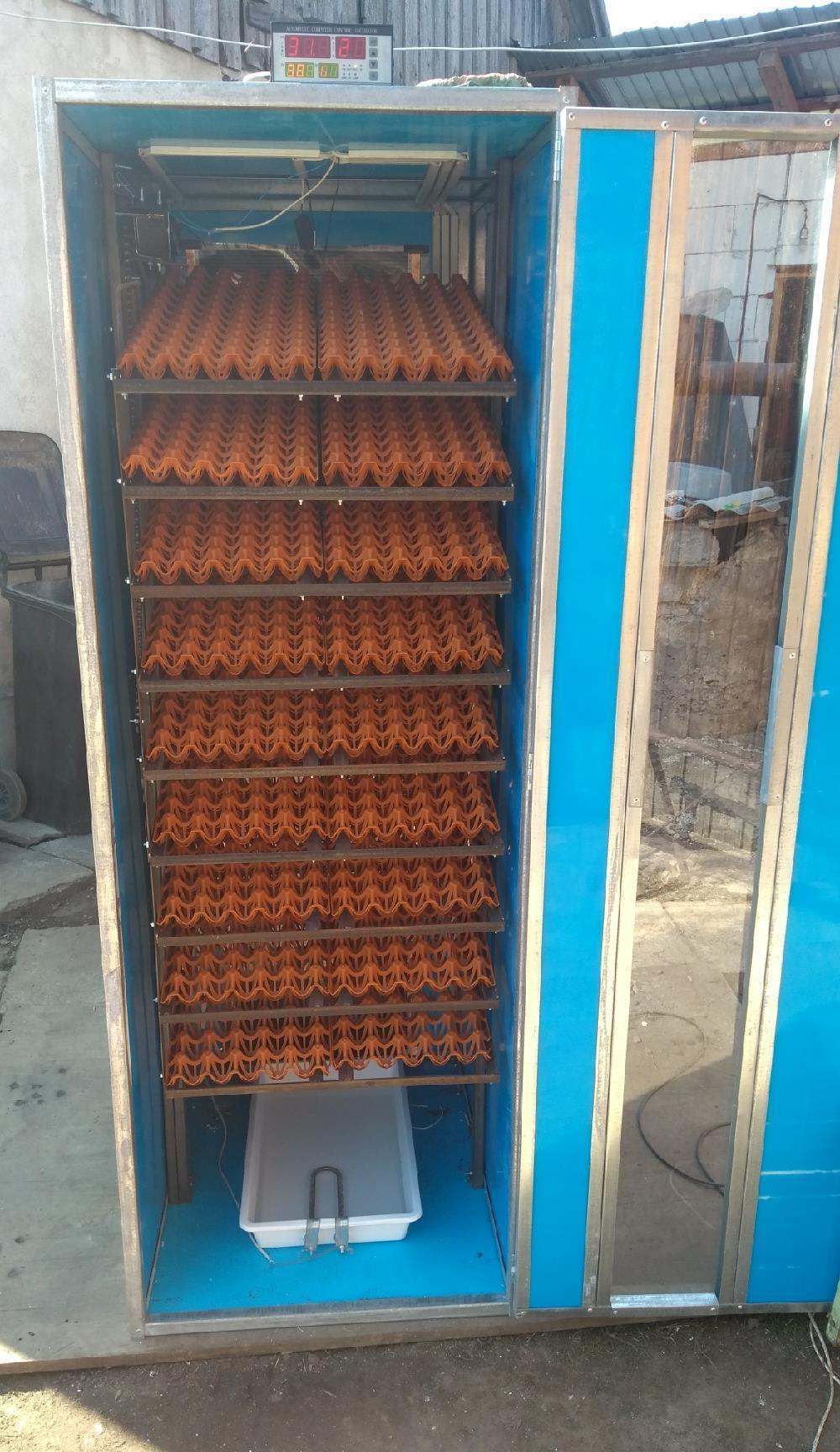 incubator 216 oua strut