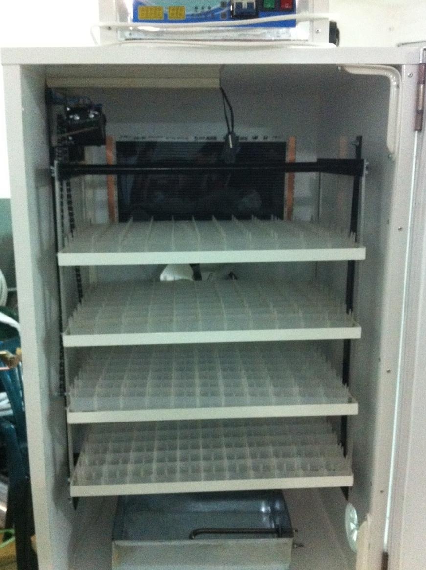 Incubator oua gasca automat