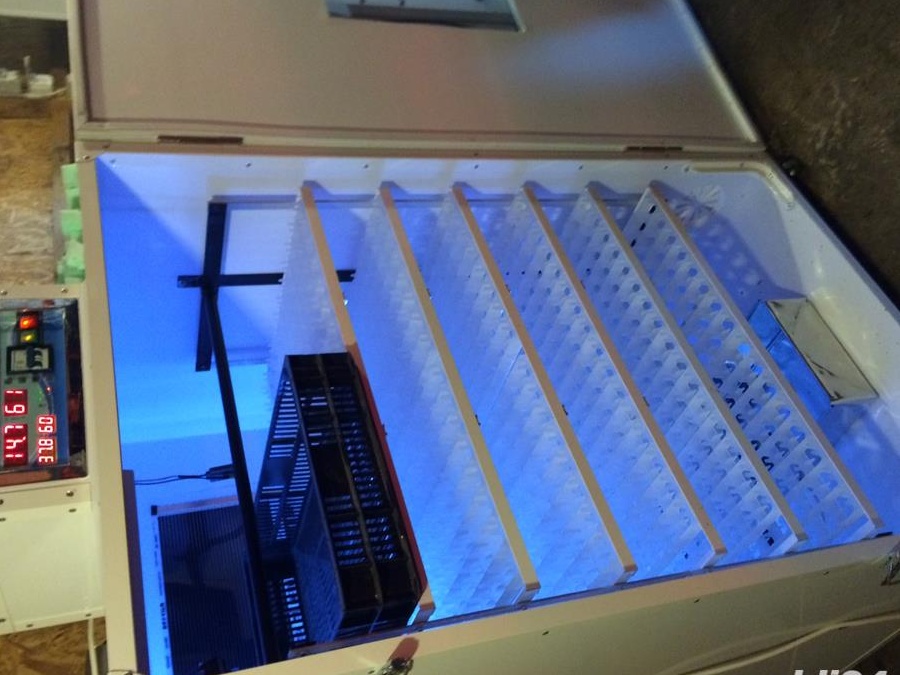 Incubator oua gasca automat