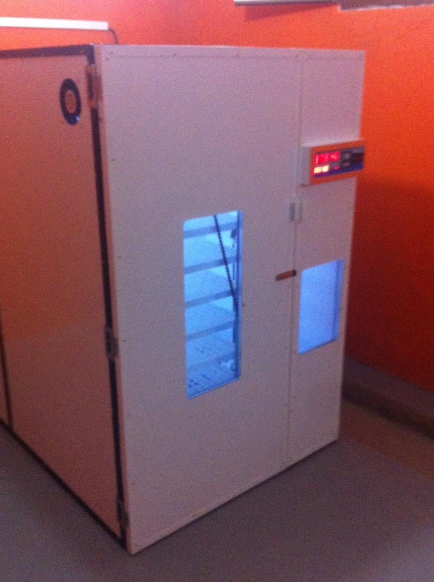 Incubator oua gasca automat