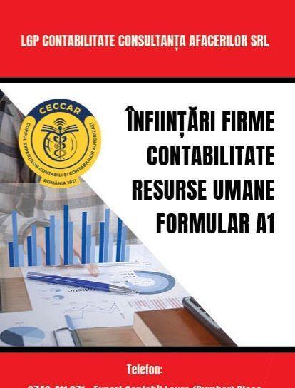 Infiintari firma. EXPERT CONTABIL. Formular A1.Sighet