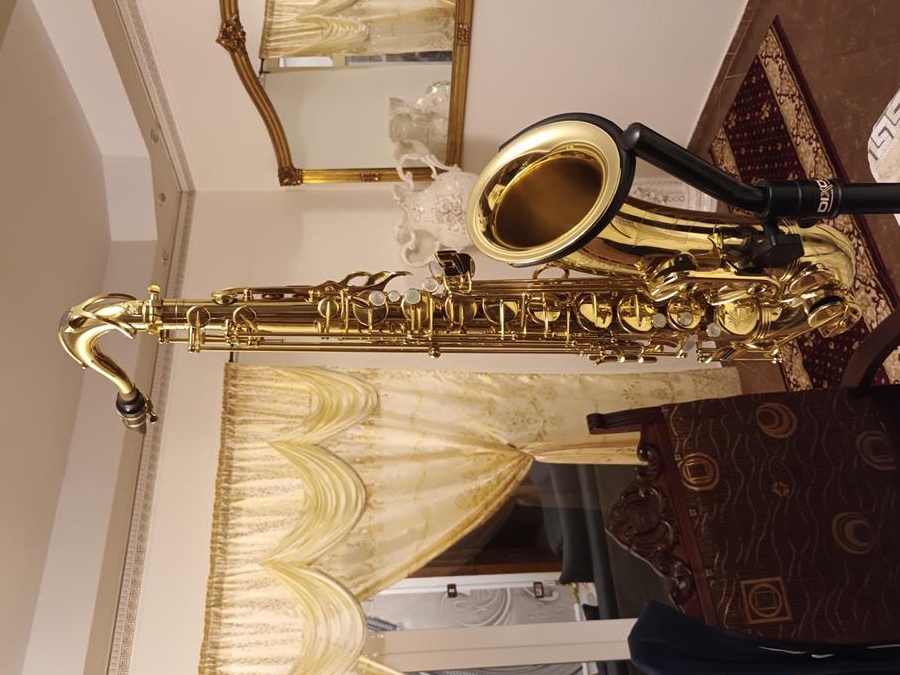 instrumente muzicale