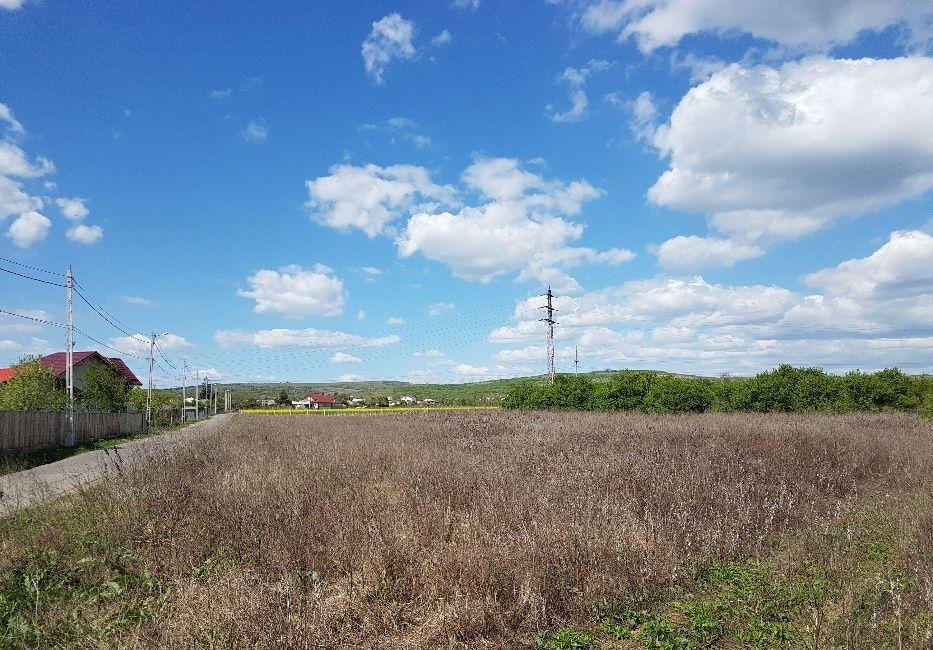 Intravilan, două loturi:1850 și 2500 mp parcelabile pentru construcții