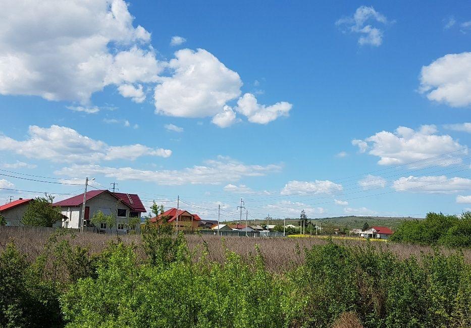 Intravilan, două loturi:1850 și 2500 mp parcelabile pentru construcții