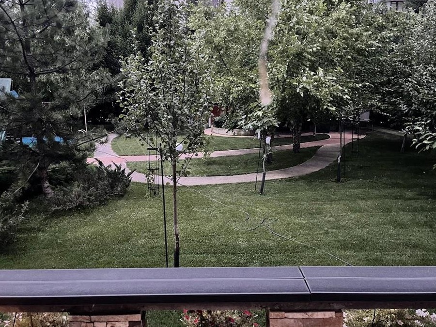 Intretinere gradina