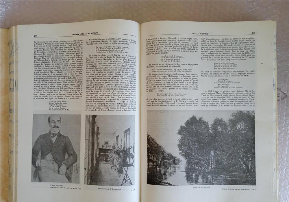 Istoria literaturii române de George Călinescu, editia 1988