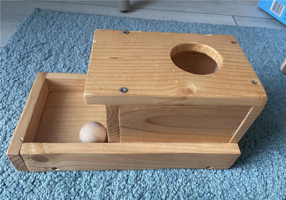 Jucarii lemn Montessori