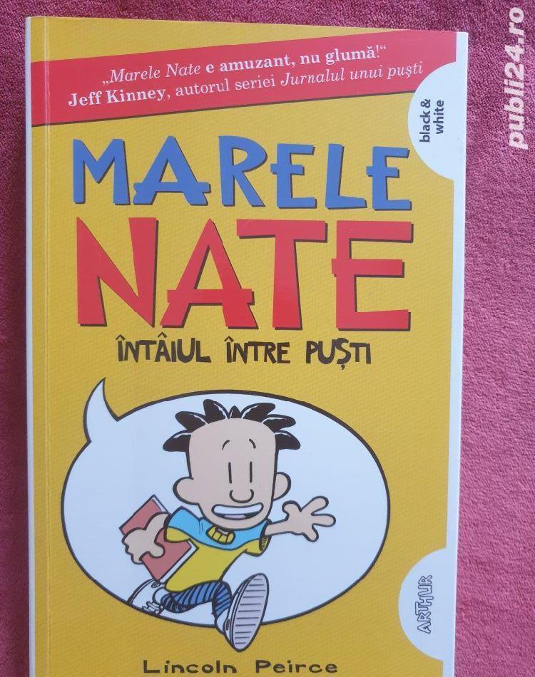 Karlsson de pe acoperis & Marele Nate intaiul dintre pusti