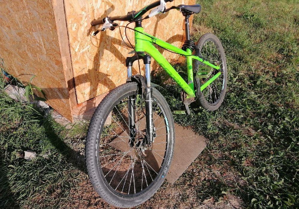 Kellys Whip 10 DirtSeries 2018