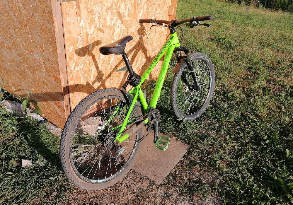 Kellys Whip 10 DirtSeries 2018