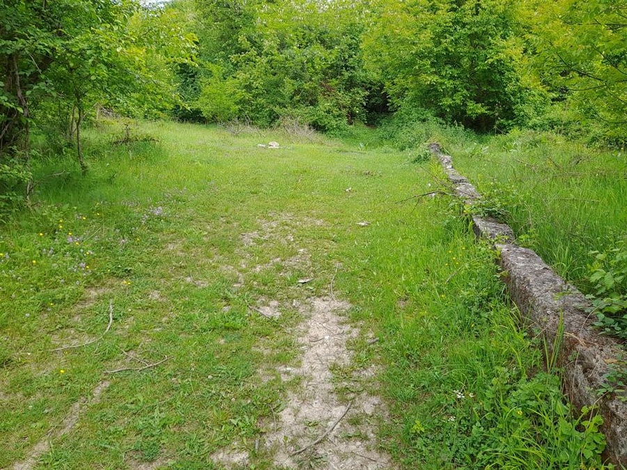 langa Valeni de Munte. Aer curat, fara poluare, minunat!